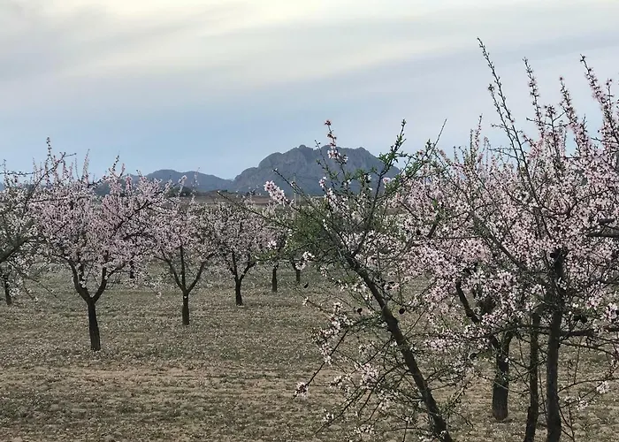 Cortijo De Los Castellanos