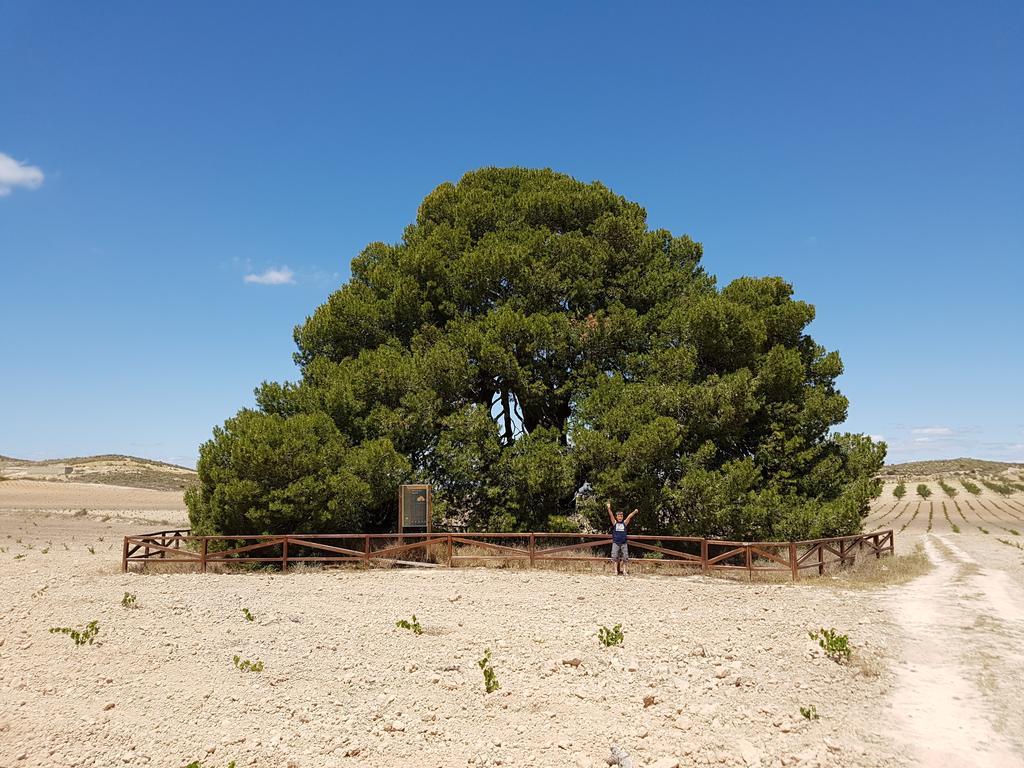 Cortijo De Castellanos *